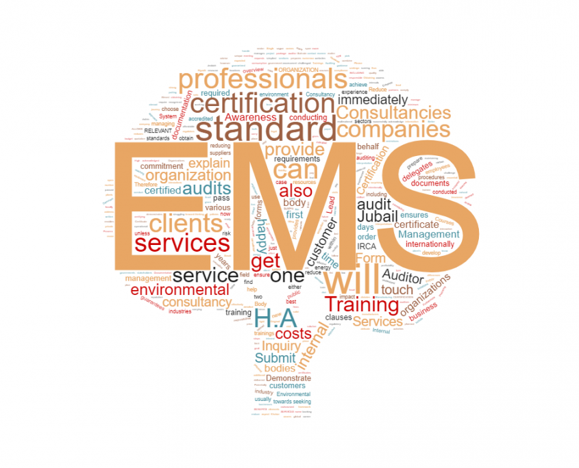 wordcloud_EMS